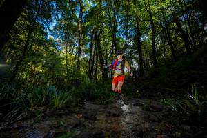 BIB: 
                            <button type="button" onclick="openModal(19239542)" class="btn btn-primary btn-sm float-right btn-popup" data-toggle="modal" data-target=".modal-high-quality">
                        <i class="fas fa-shopping-cart"></i> Add to Cart
                    </button>
                                            <button type="button" onclick="isThisMe(19239542, true)" class="btn btn-success btn-sm float-right btn-popup btn-isme hidden" data-toggle="tooltip" data-placement="bottom" title="นี่คือรูปของคุณใช่ไหม คลิกที่นี่เพื่อเอาเข้าอัลบั้ม">
                        <i class="fas fa-plus"></i> Add to album
                    </button>
                    <button type="button" onclick="isThisMe(19239542, false)" class="btn btn-warning btn-sm float-right btn-popup btn-isnotme hidden">
                        <i class="fas fa-ban"></i> Remove from album
                    </button>